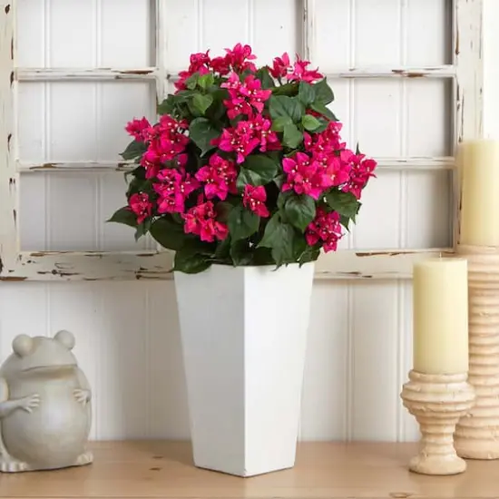 2.5ft. Bougainvillea in White Tower Planter {4}