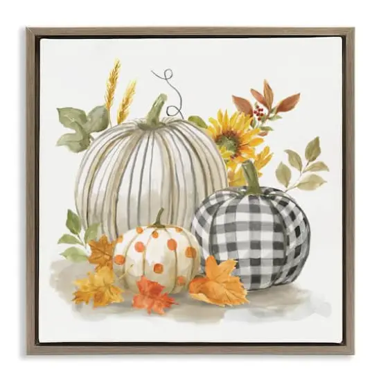 Stupell Industries Patterned Pumpkins Autumn Harvest Floater Framed Art Brown {1}