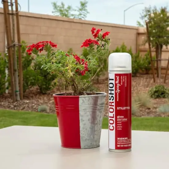 COLORSHOT&reg; Premium Gloss Spray Paint Stiletto {6}