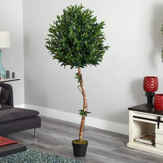 5.5ft. Potted Olive Topiary Tree {5}