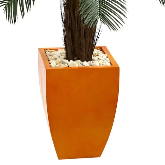 4.5ft. Cycas Tree in Orange Planter {4}