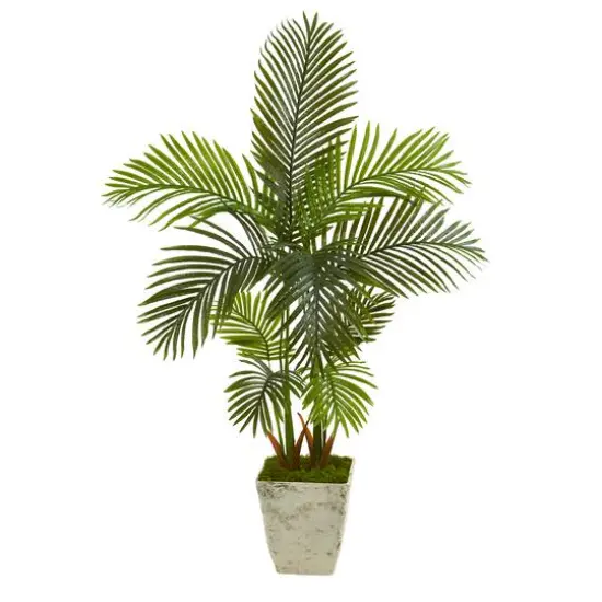4.5ft. Areca Palm Tree in Country White Planter {1}