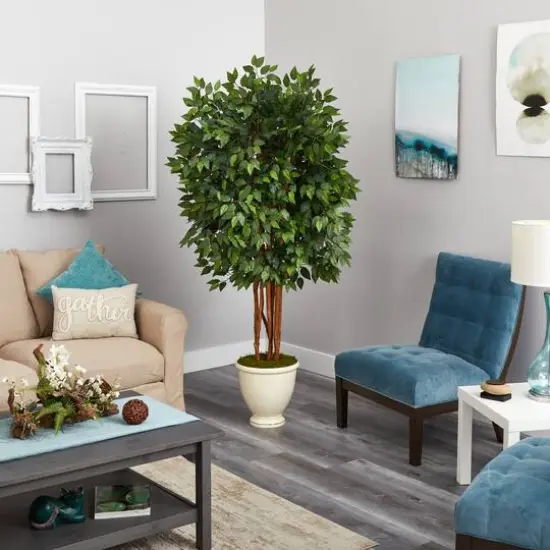 5.5ft. Super Deluxe Ficus Tree in Decorative Urn {5}