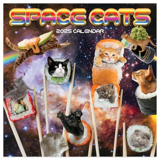 TF Publishing 2025 Space Cats Mini Calendar {1}