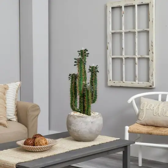 2.5ft. Cactus in Bowl Planter {3}