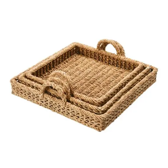 Hello Honey&reg; Decorative Water Hyacinth Tray Set {1}