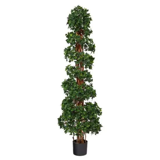 5.5ft. Potted English Ivy Spiral Topiary Tree {1}