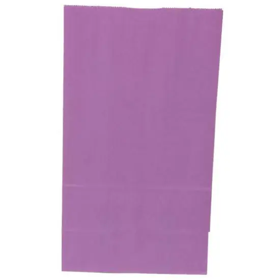 JAM Paper Purple Large Lunch Bags, 500ct. {3}