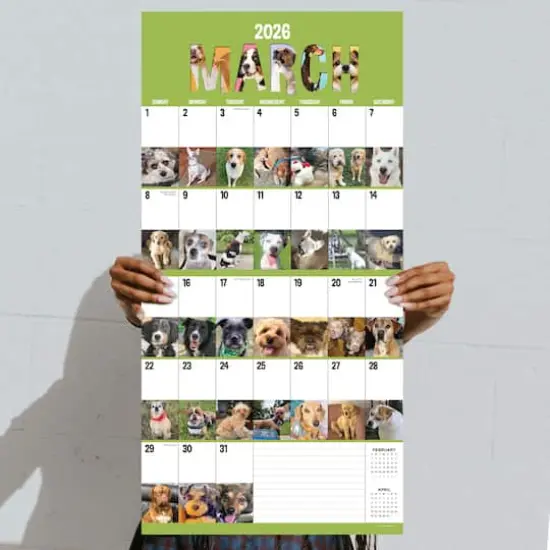 2026 Dog-A-Day Wall Calendar {5}