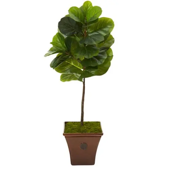 4.2ft. Fiddle Leaf Tree in Brown Planter {1}