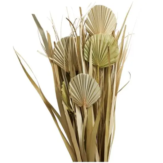 40" Green Dried Plant Bouquet Grass Natural Foliage with Fan Like Palm Leaves {4}