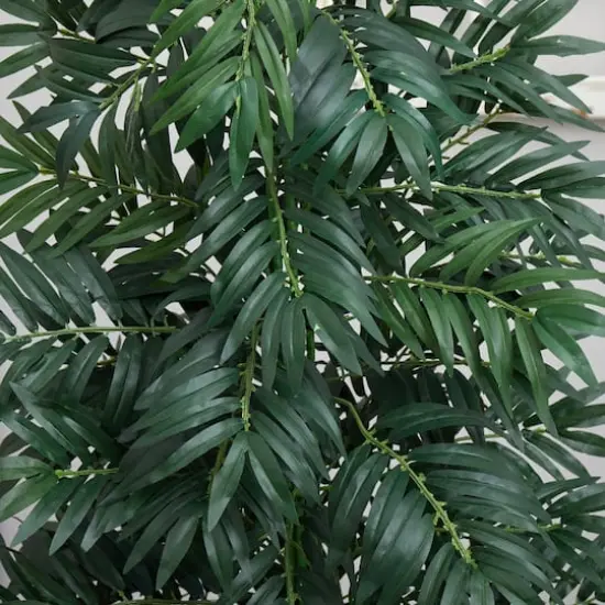 5.5ft. Bamboo Palm Plant in Decorative Planter {5}