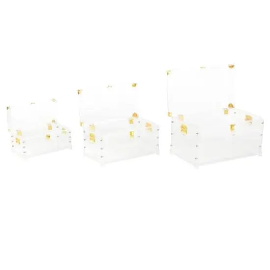 Clear & Gold Acrylic Trunk Set {4}
