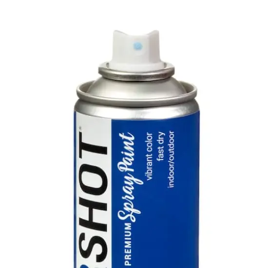 COLORSHOT&reg; Premium Gloss Spray Paint Hello Handsome {5}