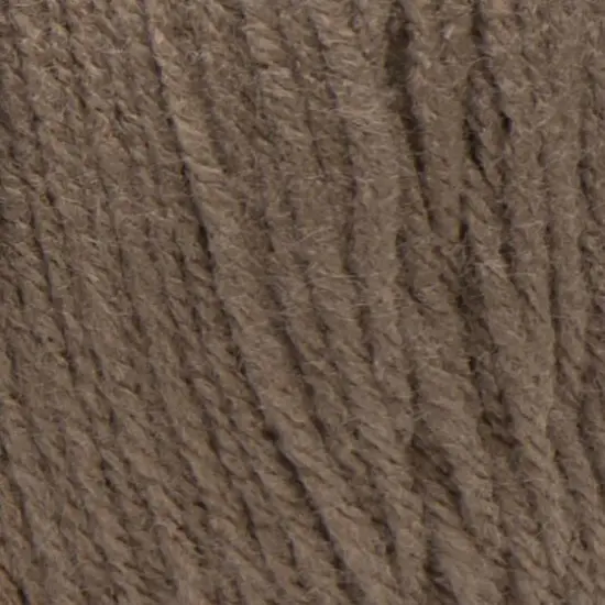 Red Heart&reg; Super Saver&reg; Solid Jumbo Yarn, 14oz. Cafe Latte {3}