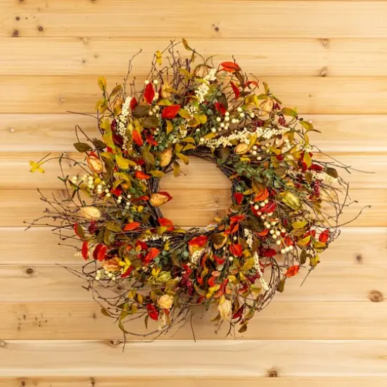 20" Cape Gooseberry Wreath {3}