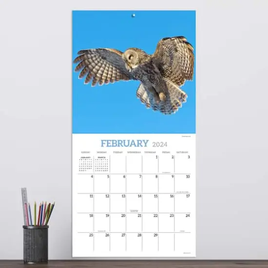 TF Publishing 2024 Owls Wall Calendar {5}