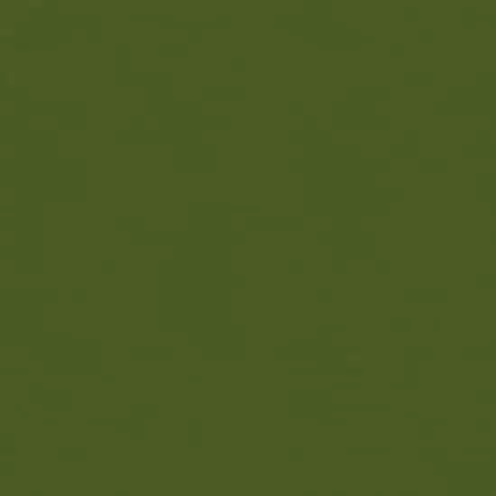 My Colors Classic 12" x 12" Holiday Green 80lb. Cover Weight Cardstock, 25 Sheets {1}