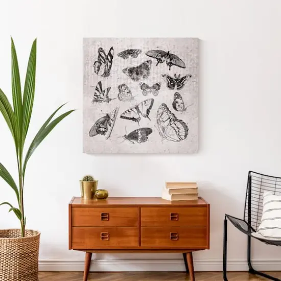 Grayscale Butterflies 24" x 24" Canvas Wall Art {5}