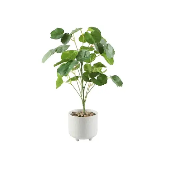 Flora Bunda&reg; 17.5" Green Pilea in Footed White Ceramic Planter {1}