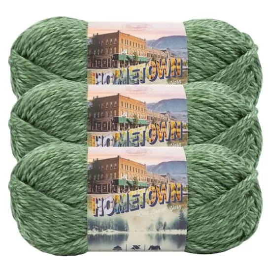 3 Pack Lion Brand&reg; Hometown Variegates Yarn Everglades {1}