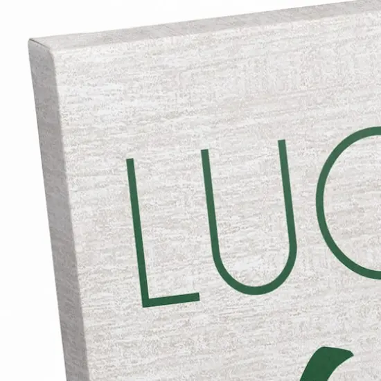 Lucky To Be Blessed 16" x 20" Canvas Wall Art {4}