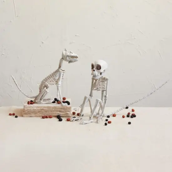 Hello Honey&reg; 23.5" Natural Plastic Monkey Skeleton D&eacute;cor {4}