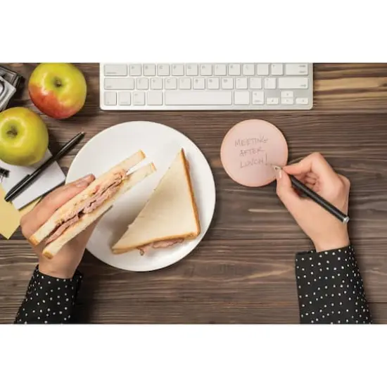 Fred&reg; Phony Bologna Sticky Notes {3}