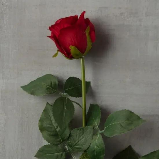 Red Dutch Rose Spray by Ashland&reg; {3}