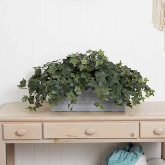 20" Puff Ivy Plant in Stone Planter {4}
