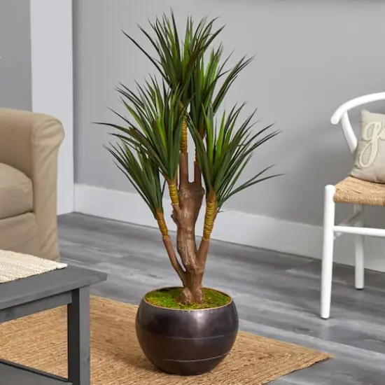 4ft. Yucca Tree in Decorative Planter {3}