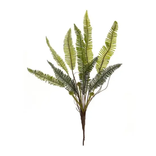 17.5" Varigated Fern Foliage Bushes, 6ct. {3}