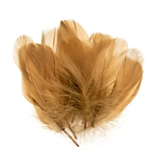 John Bead 5"-7" Goose Feathers Brown {4}