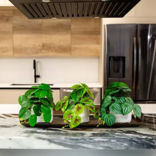 8" Mixed Greenery in Ceramic Planters Set {4}