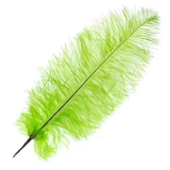 John Bead 11"-13" Ostrich Drab Feather Lime Green {1}
