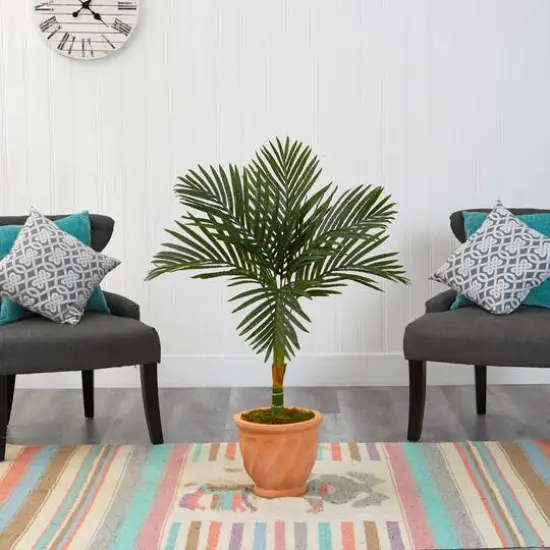 3.5ft. Golden Cane Palm Tree in Terra-Cotta Planter {4}