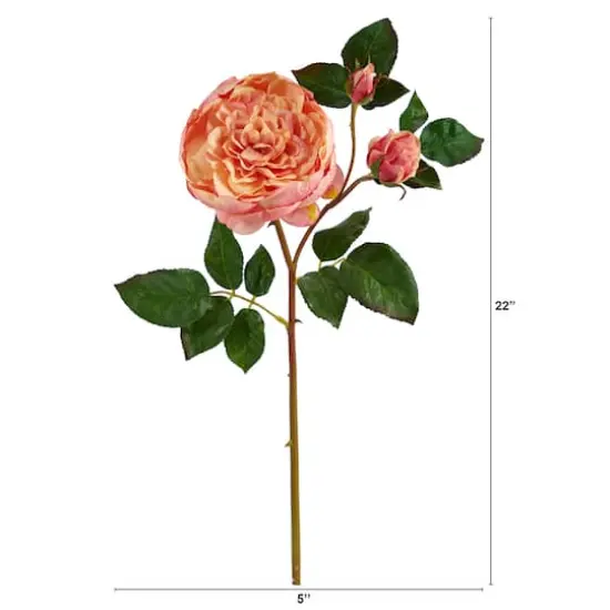 Peach & Pink Rose Stem, 6ct. {3}