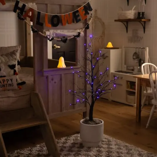 3ft. Pre-Lit Halloween Deluxe Black Twig Artificial Tree with 36 Orange & Purple LED Lights {14}
