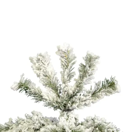 5.5ft. Unlit Flocked Pacific Pine Artificial Christmas Tree {4}