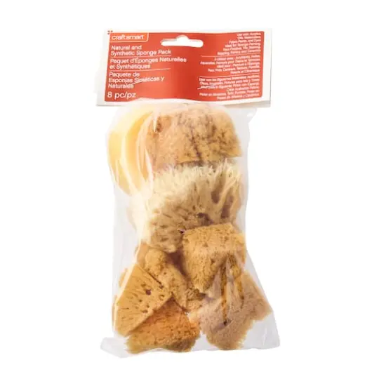 Variety Sponge Value Pack by Craft Smart&reg; {6}