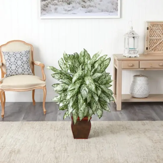 3ft. Silver Queen with Decorative Planter {4}