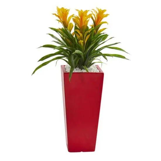 2ft. Yellow Triple Bromeliad in Red Planter {1}