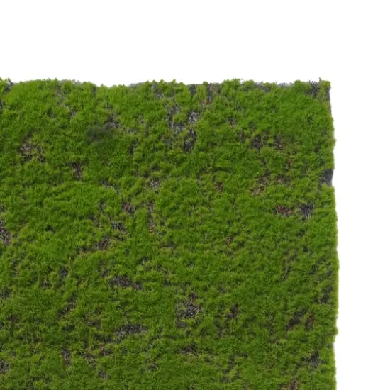 12" x 23.5" Faux Moss Mat by Ashland&reg; {3}
