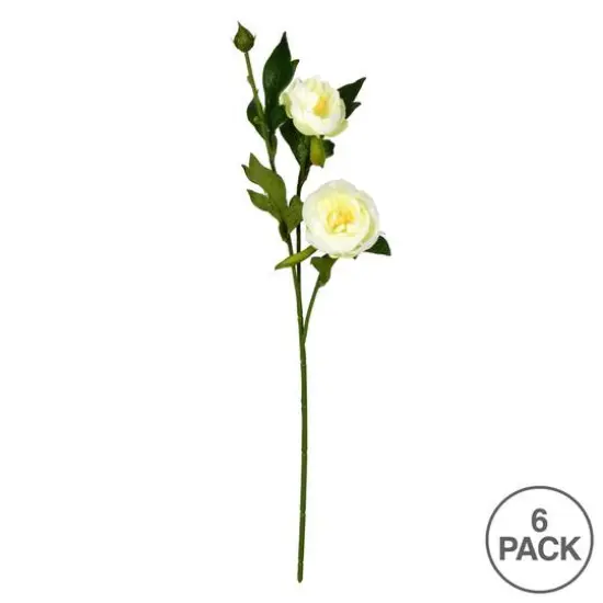 6 Pack: Cream Peony Spray {4}