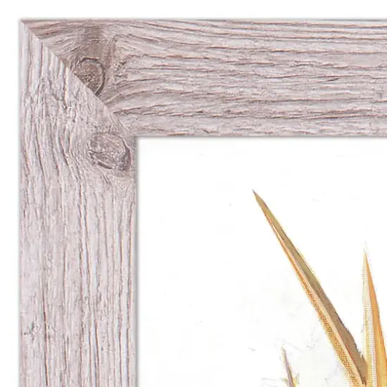 Teal Harvest Still Life Western White Framed Print {4}