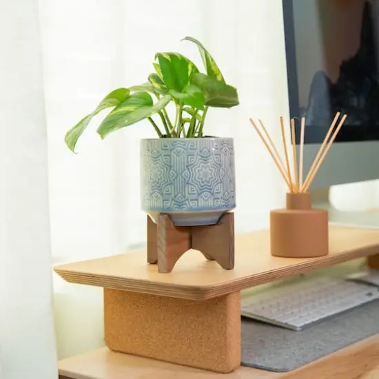 Flora Bunda 4.25" Glass Blue Star Ceramic Planter On Stand {4}