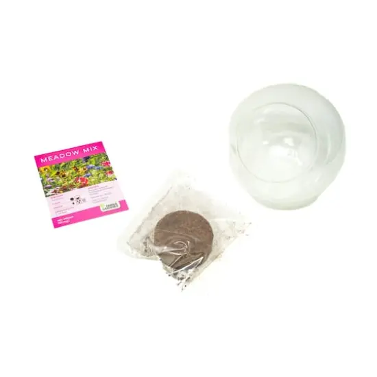 Glass Terrarium - Wildflower Blooms {7}