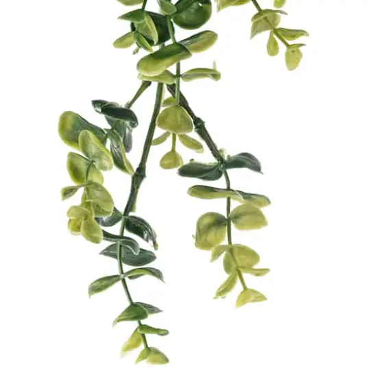 Green Hanging Eucalyptus Bush by Ashland&reg; {5}
