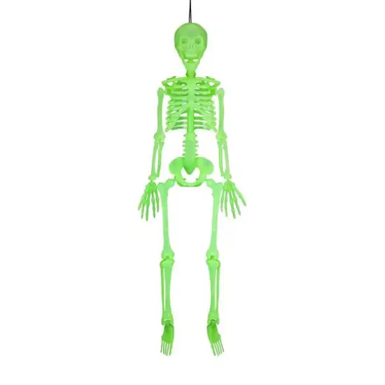 3ft. Glow-in-the-Dark Skeleton by Ashland&reg; {1}