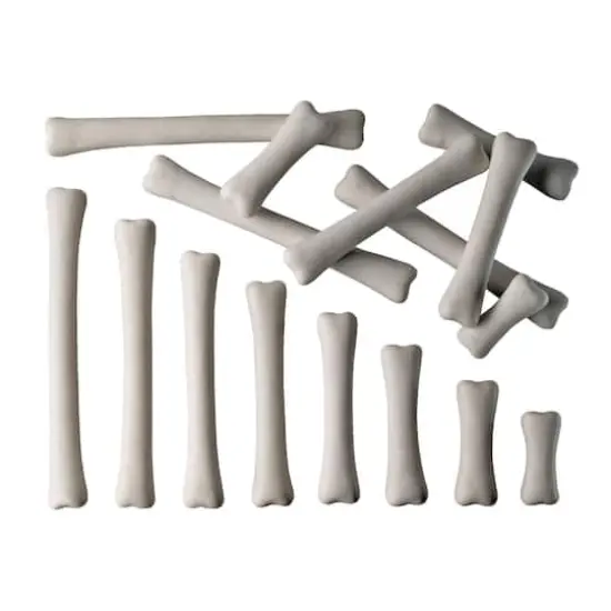 Yellow Door Dinosaur Bones Match & Measure Set {1}